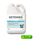 KETOWEG MPU Protection against the development of ketosis 20 L